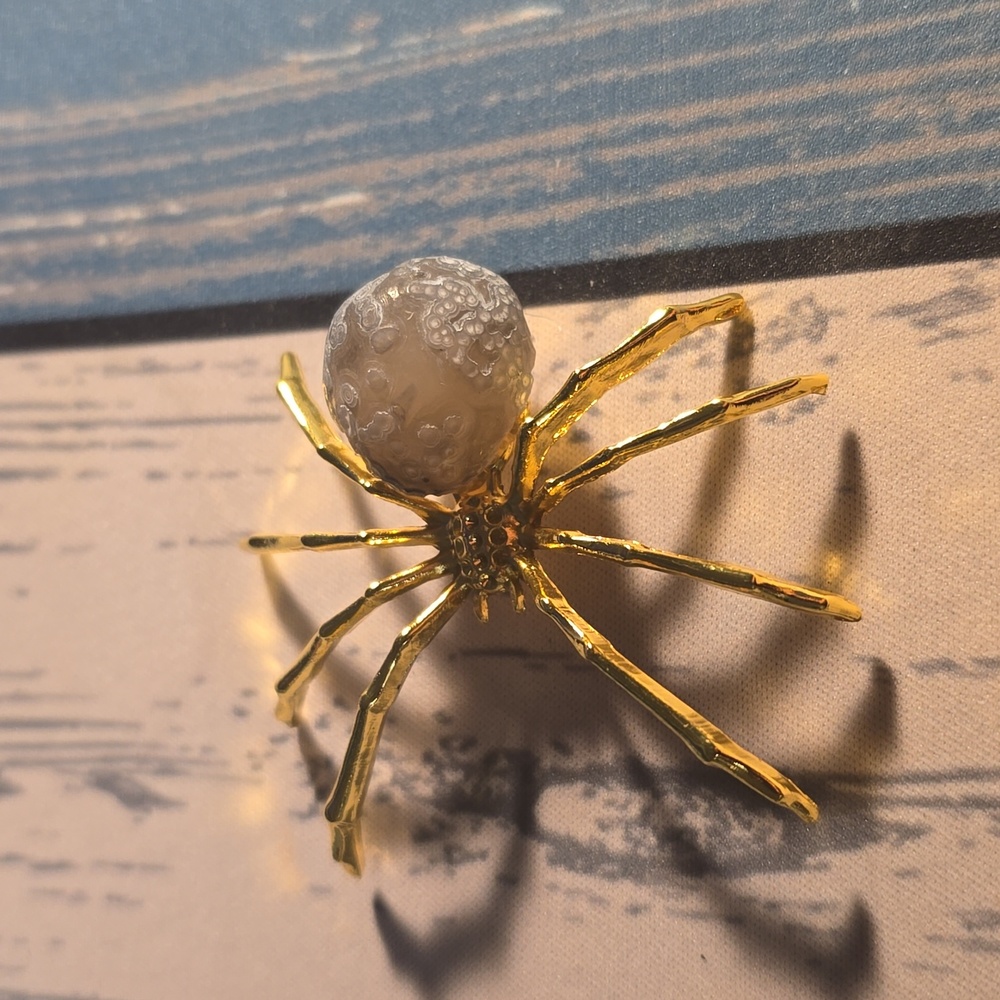 Spider With Gobi Stone